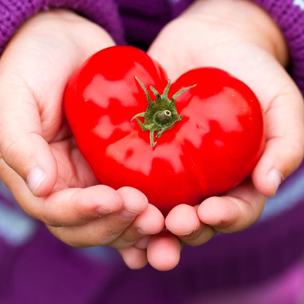 A heart-shaped tomato. 